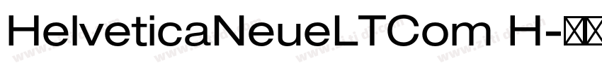 HelveticaNeueLTCom H字体转换
